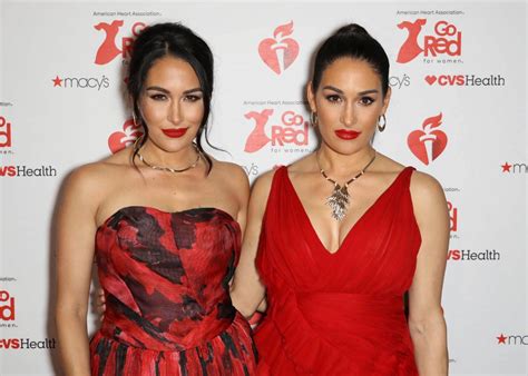 Pregnant Nikki Bella and Brie Bella Pose Nude Ahead of ...